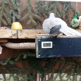 photo 2021-02-02 14-00-14