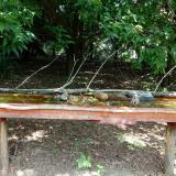 photo 2021-07-26 11-17-36