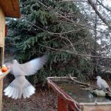 photo 2021-12-15 08-54-01