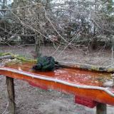 photo 2021-03-21 18-02-18