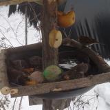 photo 2019-01-27 11-48-17