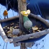 photo 2019-01-13 11-27-30