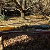 photo 2021-10-25 15-34-27