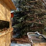 photo 2022-01-09 10-39-29