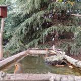 photo 2023-10-13 17-19-00