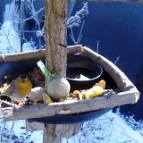 photo 2019-01-21 10-36-03