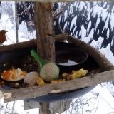 photo 2019-01-22 08-05-36