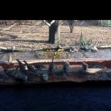 photo 2021-11-24 13-23-18