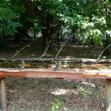 photo 2021-07-05 10-41-38