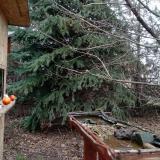 photo 2021-12-16 11-41-26