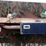 photo 2021-02-06 14-58-37