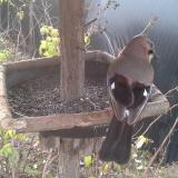 photo 2019-12-19 09-18-29