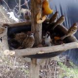 photo 2019-02-02 10-58-59