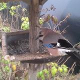 photo 2019-12-12 11-43-26