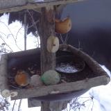 photo 2019-01-28 07-14-26