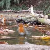 photo 2023-10-09 15-39-47