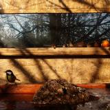 photo 2022-01-24 09-14-00