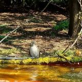 photo 2021-04-21 10-07-04 poszata