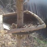 photo 2019-03-01 10-01-00