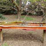 photo 2021-04-11 11-43-14