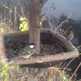 photo 2019-12-22 14-03-30