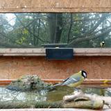 photo 2023-10-28 11-39-03