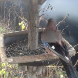 photo 2019-12-25 09-22-11