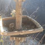 photo 2019-12-30 10-41-20