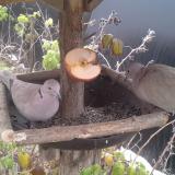 photo 2019-12-04 11-14-46