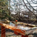 photo 2022-03-21 07-54-42