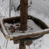 photo 2019-01-08 14-02-00