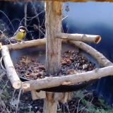 photo 2019-01-02 08-26-57