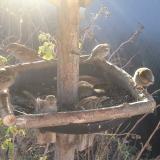 photo 2019-12-22 08-49-38