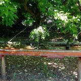 photo 2021-05-26 10-42-50