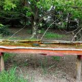 photo 2021-04-29 15-24-37