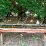 photo 2021-07-05 14-11-37