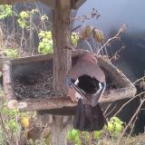 photo 2019-12-12 12-41-49