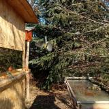 photo 2022-01-11 11-30-31