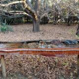 photo 2021-10-26 08-12-49