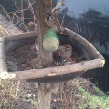 photo 2019-02-11 09-04-32