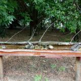 photo 2021-07-12 11-48-45