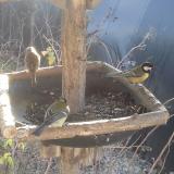 photo 2019-12-28 10-19-15