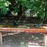 photo 2021-07-24 08-36-09