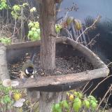 photo 2019-12-09 11-24-51