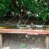 photo 2021-07-26 13-35-22