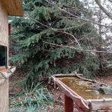 photo 2021-11-18 08-53-25