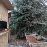 photo 2021-12-27 11-38-05