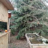 photo 2021-12-26 14-03-00