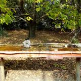 photo 2021-10-12 12-28-27