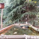 photo 2023-10-11 09-47-53